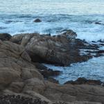 Cambria_0023 (November 02, 2013)